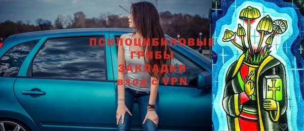 шишки Баксан