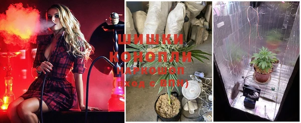 шишки Баксан