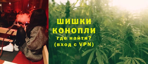 шишки Баксан
